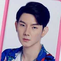 Bee Teesasit Pimkitidaj