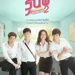 Senior Secret Love: Puppy Honey 2