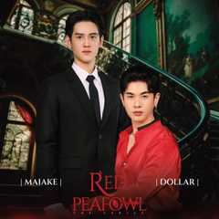 Red Peafowl The Series