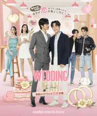 Wedding Plan The Series
