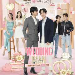Wedding Plan The Series