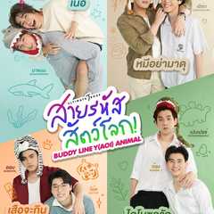 Buddy Line Y(aoi) Animal