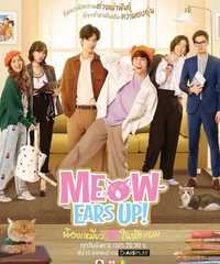 Meow Ears Up