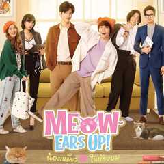 Meow Ears Up
