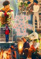 Lost in the Woods
