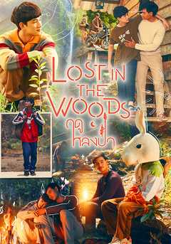 Lost in the Woods
