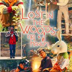 Lost in the Woods