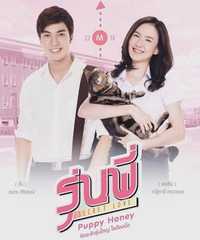 Senior Secret Love: Puppy Honey