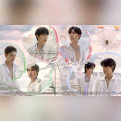 Cutie Pie Special Blooming