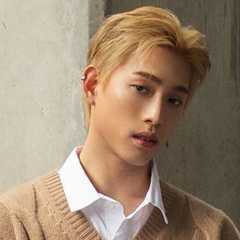 Joe Thanakorn Teeraseranee